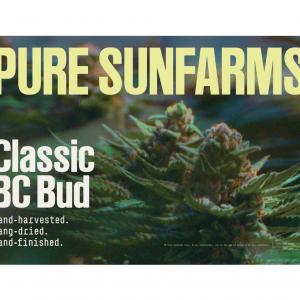 Indica Category Cards